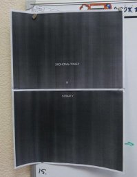 15 убедительных просьб, маразм которых зашкаливает