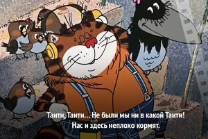 Разжиревшую кошку не впечатлила водная беговая дорожка