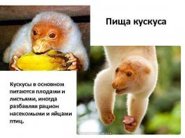 Прикольные и смешные картинки