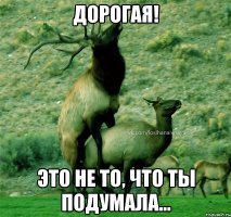 Надо было классику исполнять...