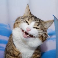 Картинки с надписями