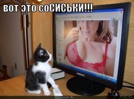 Картинки с надписями
