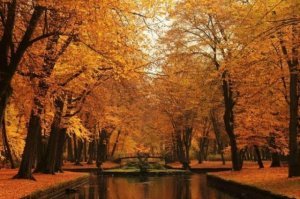 Осень шагает по Земле