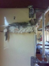 Специальный пост для тех, кто соскучился по железнодорожным приключениям