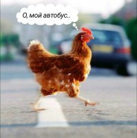 Дура блин, бежит не глядя по сторонам.

Курица тупая!