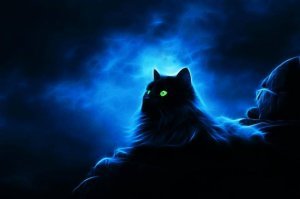 Лунный кот))