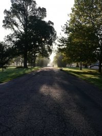 Осень золотая в гости к нам пришла