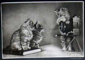 Сейчас вылетит птичка