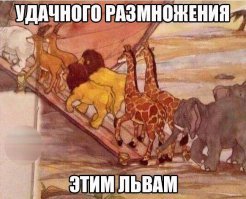 Тест «Иллюзия Моисея»
