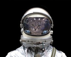 30 сумасшедших фотоманипуляций, которые обманут глаза и сломают мозг