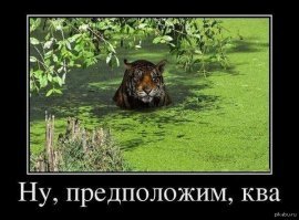 Прикольные и смешные картинки