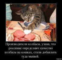 Прикольные и смешные картинки