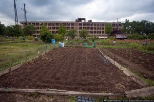 Такого в любой стране можно наснимать. А этому "фотографу" его айфон надо засунуть... хотя ему ещё понравится.