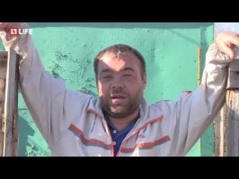 Мегин Келли требует провести независимое расследование по делу Харви Вайнштена и Мэтта Лауэра