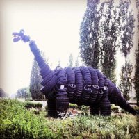 Динозавры вокруг и среди нас