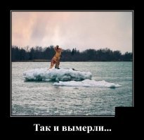 Динозавры вокруг и среди нас