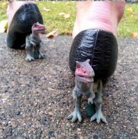 Динозавры вокруг и среди нас