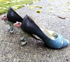 Динозавры вокруг и среди нас