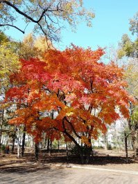 Владивосток