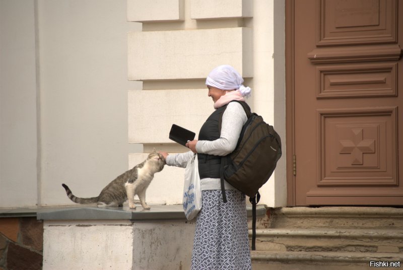 Котики Валаама