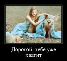 В Китае начали растить свиней размером с белого медведя?