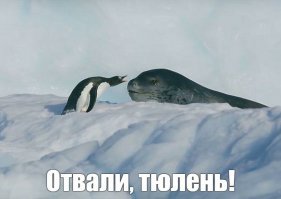 Первая фотография забавная. Подумалось: