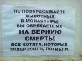 Не скрепно это, блохастых псин в дом божий пускать.