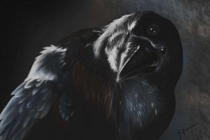 Прикольные и смешные картинки