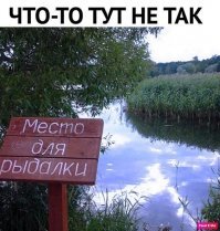 Прикольные и смешные картинки