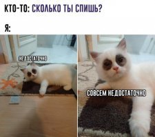 Этот пост должен называться...
"Ни забот-ни хлопот")