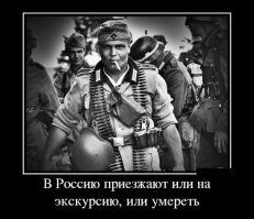 Король ночи и грязевой монстр: помощники России в борьбе с агрессорами