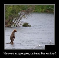 Прикольные и смешные картинки