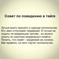 Россиянам дали рекомендации на случай встречи с медведем