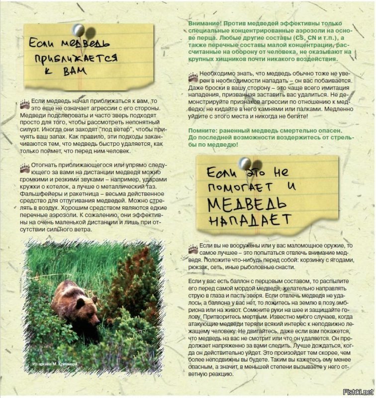 На эту же тему от WWF. И запомните главное - если чо, сразу бейте в глаз (WWF врать не будет). 
Ссылка на pdf-ку: