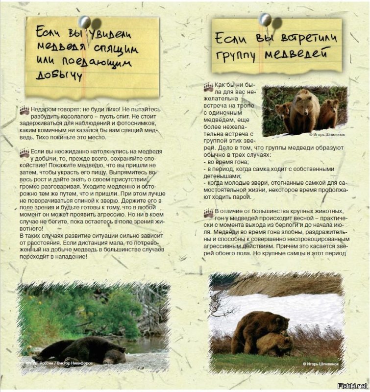 На эту же тему от WWF. И запомните главное - если чо, сразу бейте в глаз (WWF врать не будет). 
Ссылка на pdf-ку: