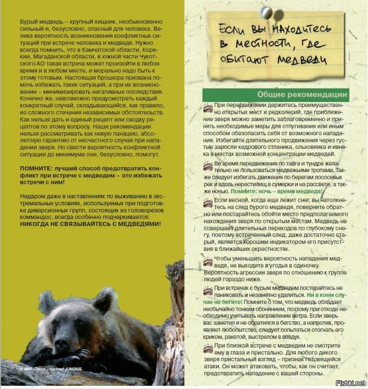 На эту же тему от WWF. И запомните главное - если чо, сразу бейте в глаз (WWF врать не будет). 
Ссылка на pdf-ку: