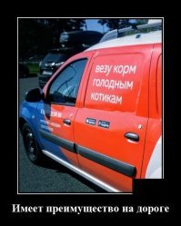 15 снимков животных до и после того, как они превратились из котлеток в атлетов