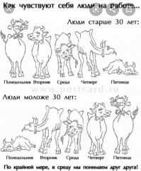 Только возраст подставьте нужный - всё индивидуально: