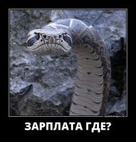 Чем опасны московские змеи и пауки?