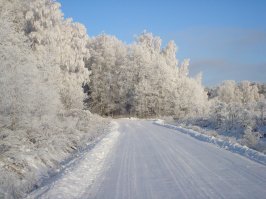 Под Волоколамском.