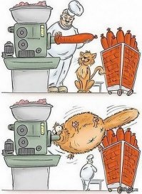 Прикольные и смешные картинки
