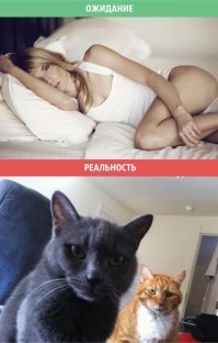 Веселые и забавные демотиваторы на понедельник  