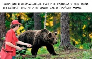 Россиянам дали рекомендации на случай встречи с медведем