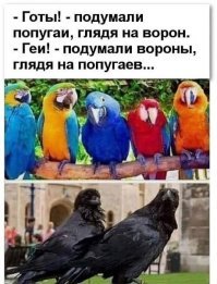 Капризы природы: животные-альбиносы