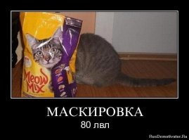 Видите на фотографии сову? А она есть!