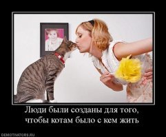 15 фактов о кошках, которые заставляют полюбить их еще сильнее
