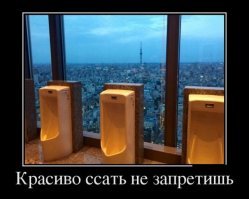 Писсуары: Лучше один раз увидеть