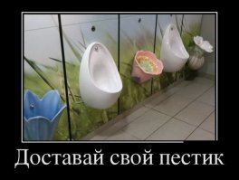 Писсуары: Лучше один раз увидеть