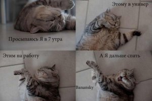 Прикольные и смешные картинки