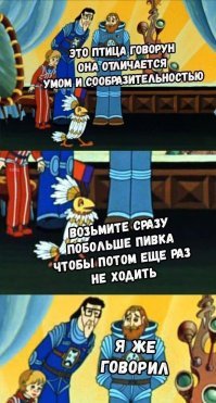 10 интересных фактов о попугаях